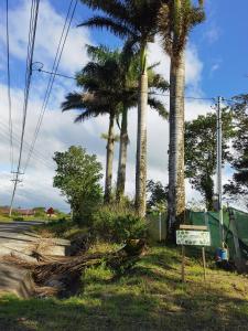 a sign on the side of a road with palm trees at GREENHOUSE Loft Miravalles in Aguas Claras
