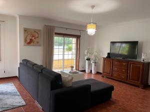 AM Residence في براغا: غرفة معيشة مع أريكة وتلفزيون بشاشة مسطحة