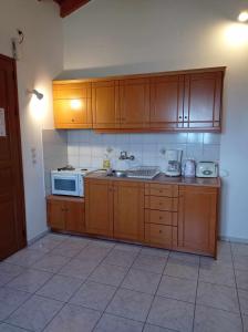 a kitchen with wooden cabinets and a sink and a microwave at Studios Ioanna Limnionas Samos in Ayía Kiriakí