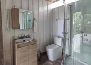 a bathroom with a toilet and a sink and a shower at Hospedaje Santa Ana in Circasia +25 photos