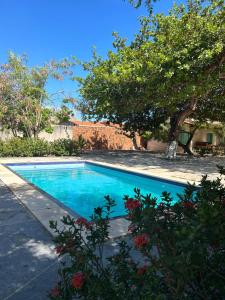 una piscina en un patio con un árbol en Toca do guaxinim, en Itarema