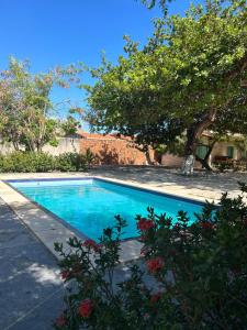 ein Pool im Garten mit einem Baum in der Unterkunft Toca do guaxinim in Itarema