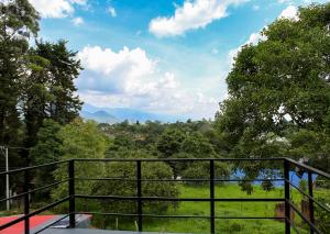 a view of a forest from a balcony of a house at Hospedaje Santa Ana in Circasia