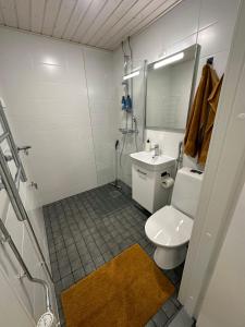 a bathroom with a toilet and a sink at Arctic Apartment Rovaniemi in Rovaniemi