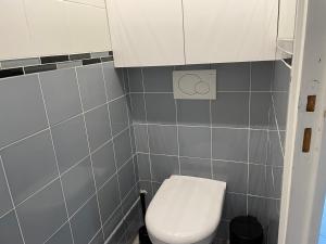 a bathroom with a white toilet and a cabinet at Douai à proximité in Flers-en-Escribeus +11 photos
