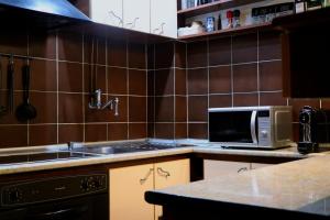 una cucina con lavandino e forno a microonde di Hajduk Veljko Apartment a Belgrado