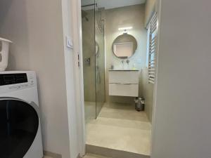 een badkamer met een douche, een wastafel en een wasmachine bij La Teranga de Kadi & Cathy, avec jardin privatif in Nancy