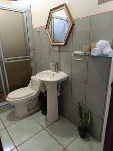 a bathroom with a toilet and a sink and a mirror at Luna Lodge in Fortuna