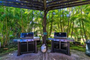 威雷亞的住宿－Maui Kamaole，两把炉灶都坐在树棚下