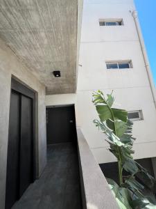 um corredor de um edifício com uma porta e uma planta em Dos ambientes San Justo em San Justo