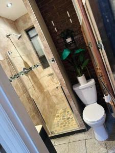 uma casa de banho com um WC e um chuveiro com uma planta em Two bedroom excellent location em Queens