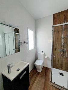La salle de bains est pourvue d'un lavabo, de toilettes et d'une douche. dans l'établissement Precioso apartamento con estilo., à Almería