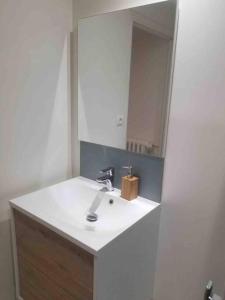 a bathroom with a sink and a mirror at Cocon 2 calme en cœur historique in Périgueux