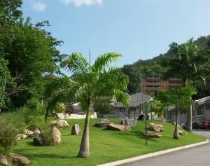 a park with palm trees and rocks on the grass at Viewscape Condo 3bedrooms in Port-of-Spain