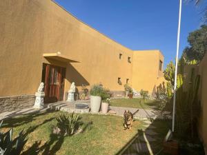 a cat walking in front of a building at Hotel Boutique Azhares in Copiapó