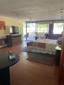 a bedroom with a bed and a flat screen tv at Hotel Boutique Azhares in Copiapó