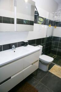 Un baño con un lavabo blanco y un inodoro. en Les Nuits Galantes appartement LANTANA, en Saint-François