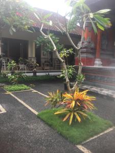 een binnenplaats voor een gebouw met een boom bij Artawa House in Ubud
