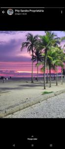 een groep palmbomen op een strand bij zonsondergang bij Apartamento mobiliado prédio frente ao mar in São Vicente