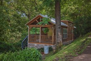 Eden Cabin Forested Tiny Home On Lookout Mtn في تشاتانوغا: كابينة صغيرة في الغابة مع شجرة
