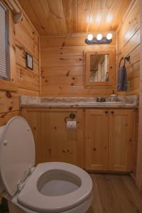 ein Badezimmer mit einem weißen WC in einer Holzhütte in der Unterkunft Celina Cabin Nature Cabin Near Downtown Chattanooga in Chattanooga + 27 Fotos