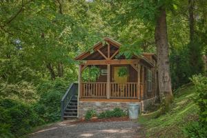domek na środku lasu z werandą w obiekcie Eden Cabin Forested Tiny Home On Lookout Mtn w mieście Chattanooga