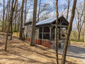 eine kleine Hütte im Wald mit Bäumen in der Unterkunft Eliza Cabin Nature Nested Tiny Cabin W Hot Tub in Chattanooga