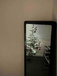 um reflexo de uma árvore de Natal num espelho em Hongdae House Mangwon Gyeong em Seul