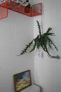 uma planta numa parede com uma fotografia e uma prateleira em Hongdae House Mangwon Gyeong em Seul