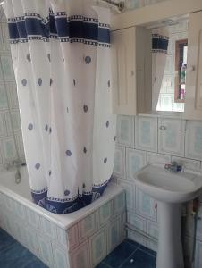 y baño con cortina de ducha y lavamanos. en Isla yu backpacker, en Puerto Natales