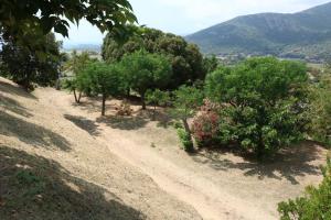Gallery image of Camping Les Couchants in Casaglione