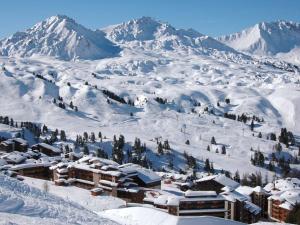 冬のAppartement Belle Plagne, 2 pièces, 5 personnes - FR-1-455-21の様子