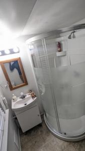 W łazience znajduje się prysznic i umywalka. w obiekcie Cozy downtown one bedroom free parking w mieście Kingston