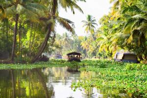 a river with palm trees and a boat in the water at Green valley Alleppey in Alleppey