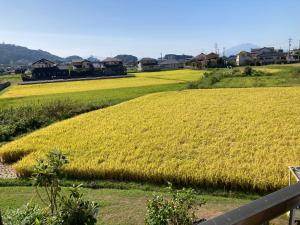 度假屋周边自然景观