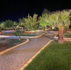 a pathway with palm trees in a park at night at استراحه القاعد in At Turbīyah