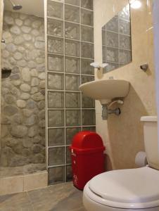 ein Bad mit einem WC und einem Waschbecken in der Unterkunft Hermoso Palomino in Palomino