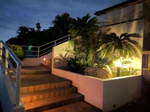 広々テラスで沖縄一の絶景独占! BBQやイベントも楽しめる貸切ヴィラで最高の旅を! Villa VIEW外面的花园