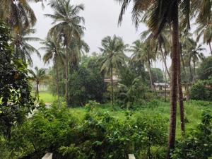 a view of a field of palm trees at UDUPI G01 HOMESTAY in Udupi