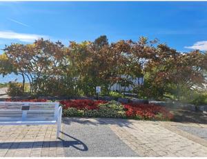 a white bench sitting in front of a garden at Cozy room near the BEACH in Pickering