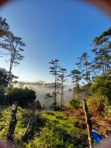 widok na mglisty las z drzewami i polem w obiekcie Homestay niem t'rị Măng Pên w mieście Kon Von Kla
