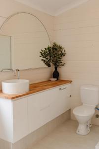 a bathroom with a sink and a toilet at Pet Friendly Family Home in Bluff Point in Geraldton