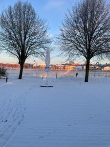 einen schneebedeckten Park mit Bäumen und einem Sonnenschirm in der Unterkunft Kanal-Haus "Das Gästehaus direkt am NOK" in Osterrönfeld