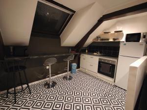 Kuchyň nebo kuchyňský kout v ubytování Les Lofts De Provins: Apt 8