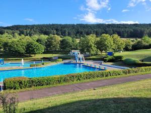 uma vista superior de uma piscina num parque em Tauberperle - Exklusives Ferienapartment em Lauda-Königshofen
