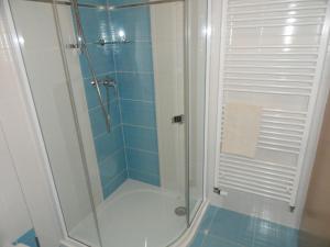 bagno con doccia e porta in vetro di Penzion Žumberk a Nové Hrady