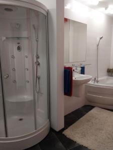 W łazience znajduje się prysznic i umywalka. w obiekcie Decebal Residence w Kiszyniowie