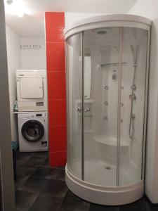 a bathroom with a shower and a washing machine at Decebal Residence in Chişinău