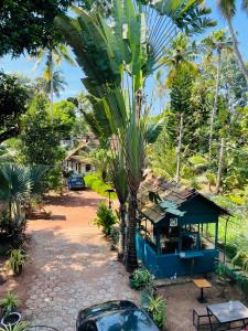 una palmera junto a un pequeño edificio azul en RiTAS en Varkala