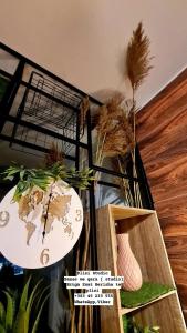 ein Zimmer mit einem Regal mit Pflanzen darin in der Unterkunft Apartment 06 in Gnjilane